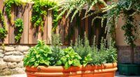 create authentic italian herb garden