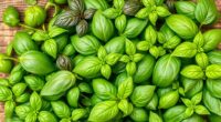 italian basil types