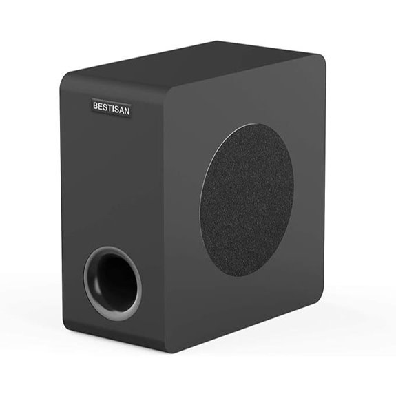 BESTISAN 6.5 Home Audio Subwoofer with RCA/AUX