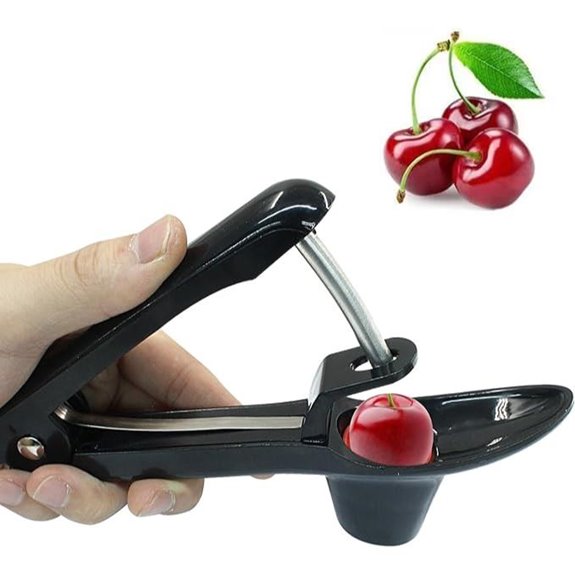 Cherry Pitter Tool for Olives and Fruit