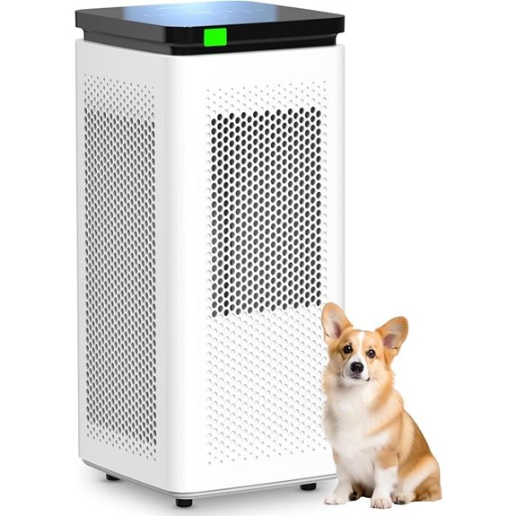 Large Room Air Purifier with HEPA & Carbon Filter