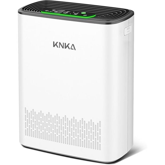 KNKA Large Room Air Purifier with HEPA Filters