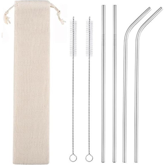 Reusable Metal Straws Set with Brushes and Case