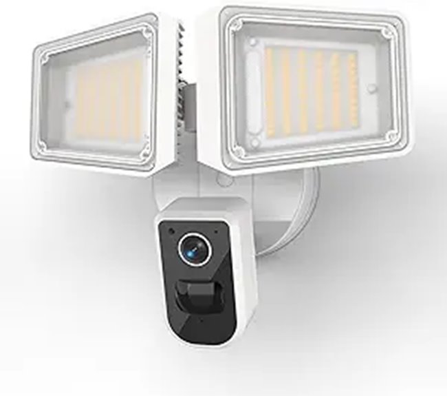 Outdoor Security Floodlight Camera with Motion & Audio
