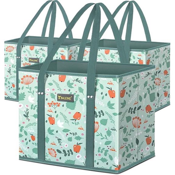 BALEINE Reusable Grocery Bags (3-Pack)