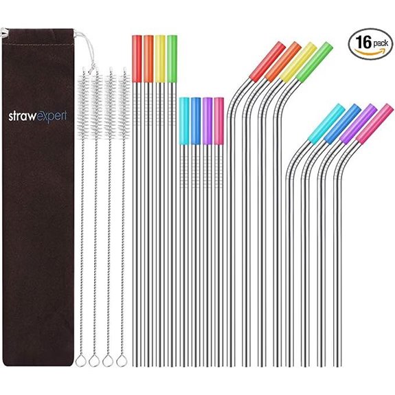 Reusable Stainless Steel Straws with Travel Case