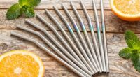 top eco friendly stainless straws