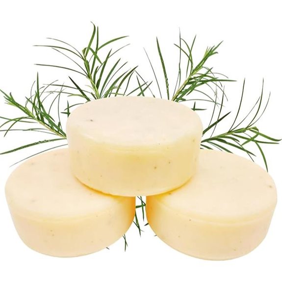 Zero Waste Vegan Dish Soap Bar (Pack of 3)