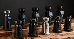 top flat burr coffee grinders