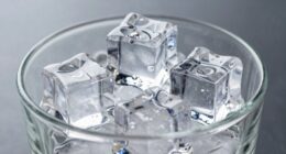 home cocktail ice science