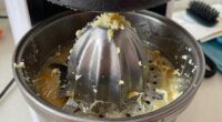 juicer cleaning challenges revealed