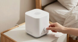 10 Best Best White Noise Machine Premium in 2026