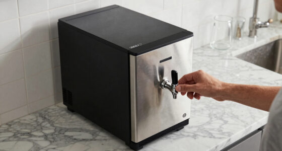10 Best Kegerator for Home in 2026