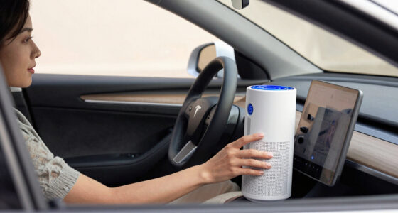 11 Best Portable Air Purifier For Car in 2026