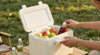 12 Best Portable Electric Cooler in 2026 — Stay Cool on the Go