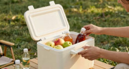12 Best Portable Electric Cooler in 2026 — Stay Cool on the Go