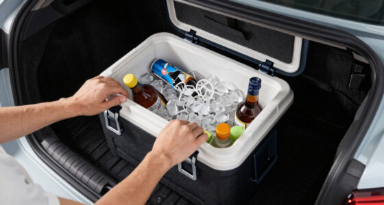 13 Best Portable Cooler for Car in 2026