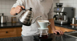 7 Best Electric Kettle Gooseneck Premium in 2026