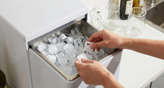 9 Best Commercial Ice Machine for Home Bar in 2026