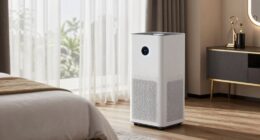 air purifiers prevent allergies