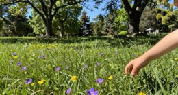 benefits of brief outdoor exposure