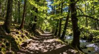 maximize trip with planning