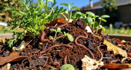 simple accessible composting method