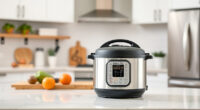 Instant Pot Sealing Rings: Compatibility & Buying Guide