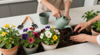 11 Best Summer Blooming Perennial Plants in 2026