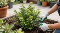 5 Best Fast-Growing Shade Shrubs in 2026