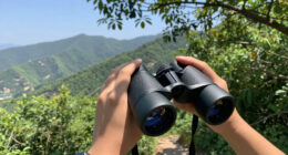 Is the Occer 12x25 Compact Binoculars for Adults Worth It? Honest Take + Alternatives