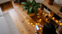 12 Best Smart Indoor String Lights for Flexible Room Lighting in 2027