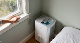 5 Signs You Need A Dehumidifier – The Everyday Clues Experts Say You Shouldn't Ignore