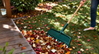 Goodbye Regular Rakes: The Clever Leaf Removal Tool That 'Almost Makes Work Fun'