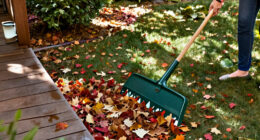 Goodbye Regular Rakes: The Clever Leaf Removal Tool That 'Almost Makes Work Fun'