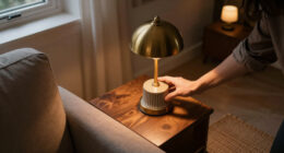The Lamps In My House
